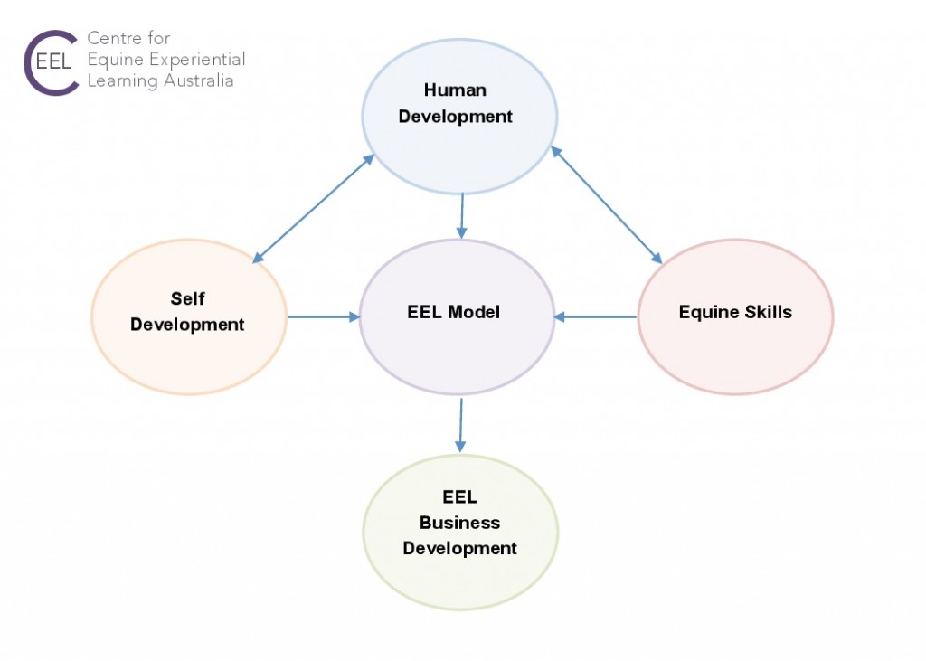 CEEL 5 competencies diagram2-0