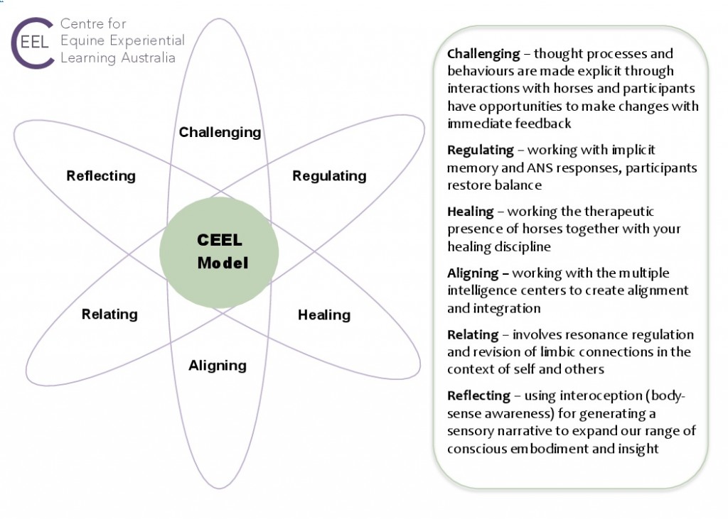 CEEL 6-petal model3 with definitions-0